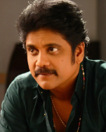 Akkineni Family Tree featuring Akkineni Nageswara Rao, Nagarjuna, Naga Chaitanya, Akhil and other family members