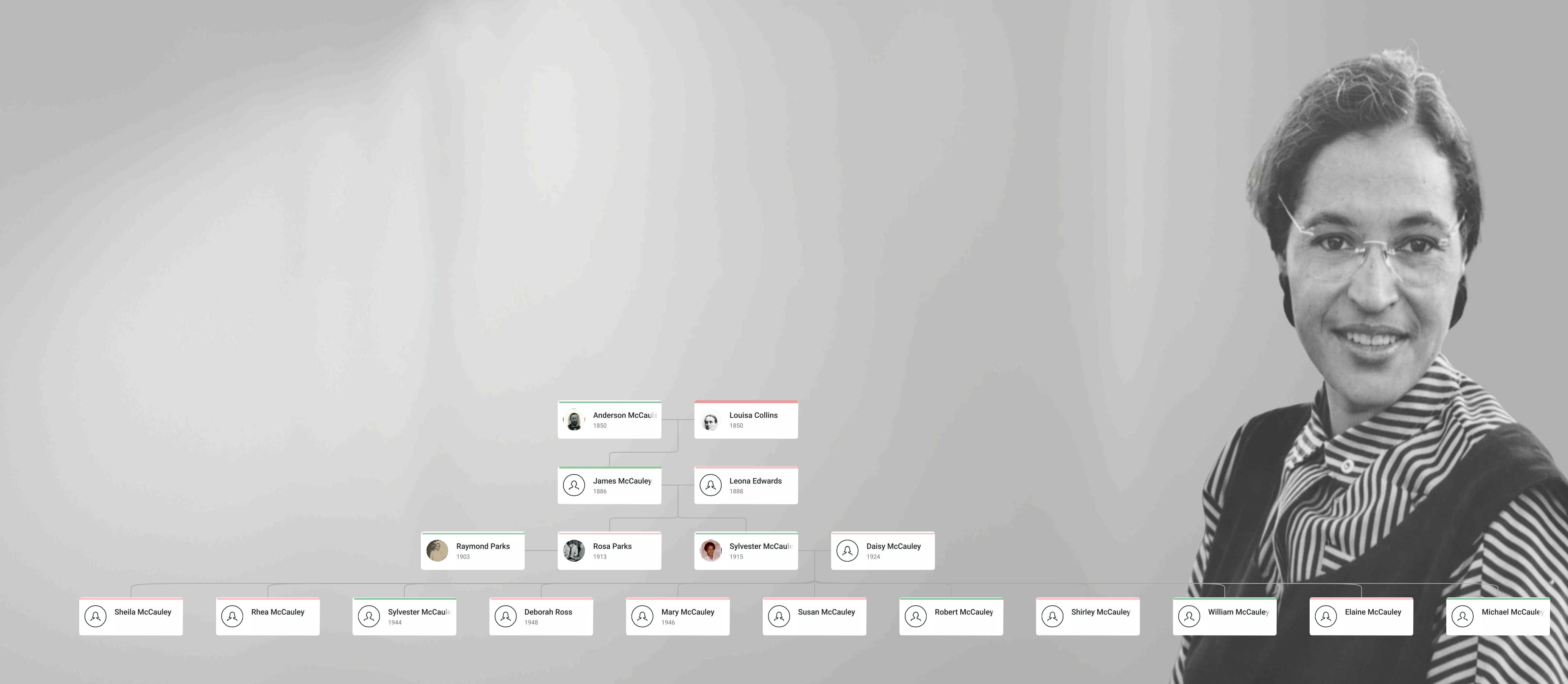Rosa Parks Family Tree showing Rosa Parks, her parents, spouse Raymond Parks, and extended family lineage.