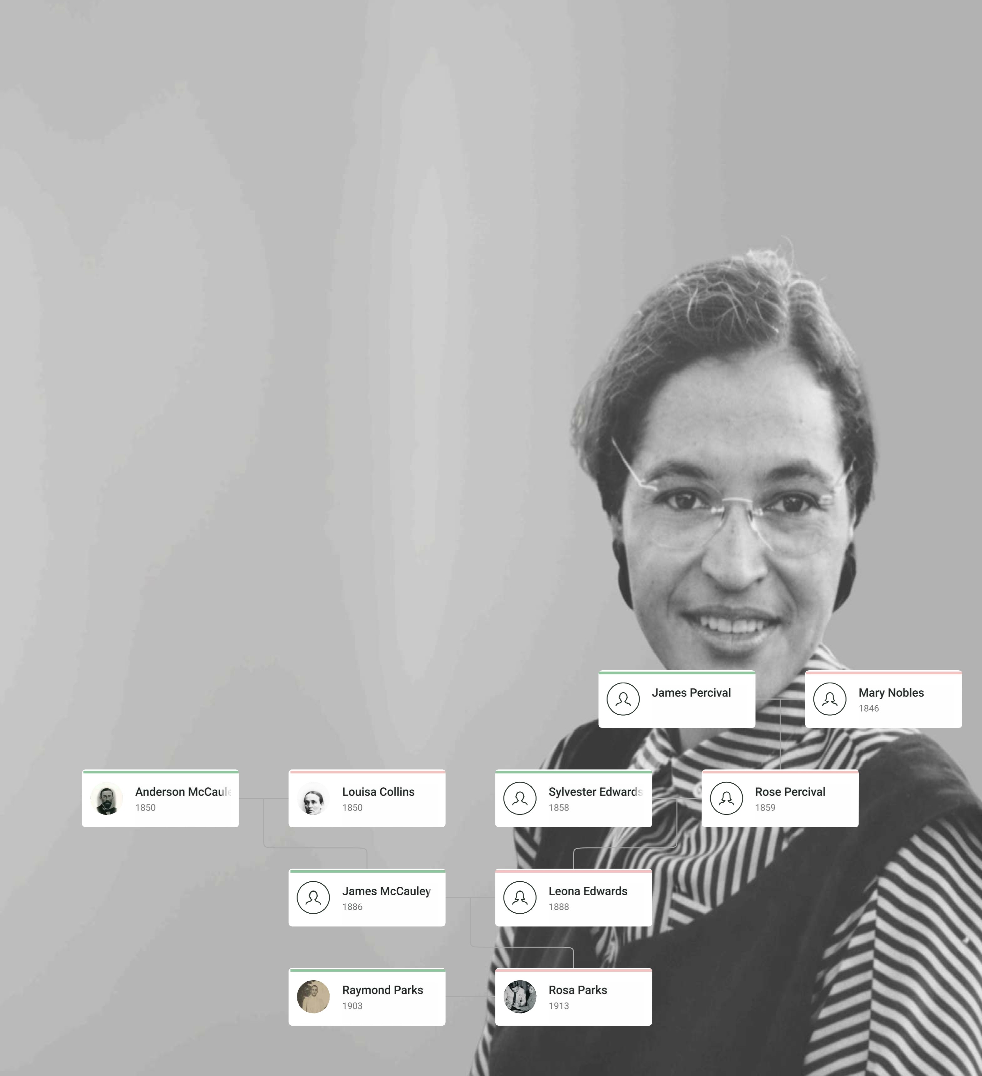 Rosa Parks Family Tree showing Rosa Parks, her parents, spouse Raymond Parks, and extended family lineage.