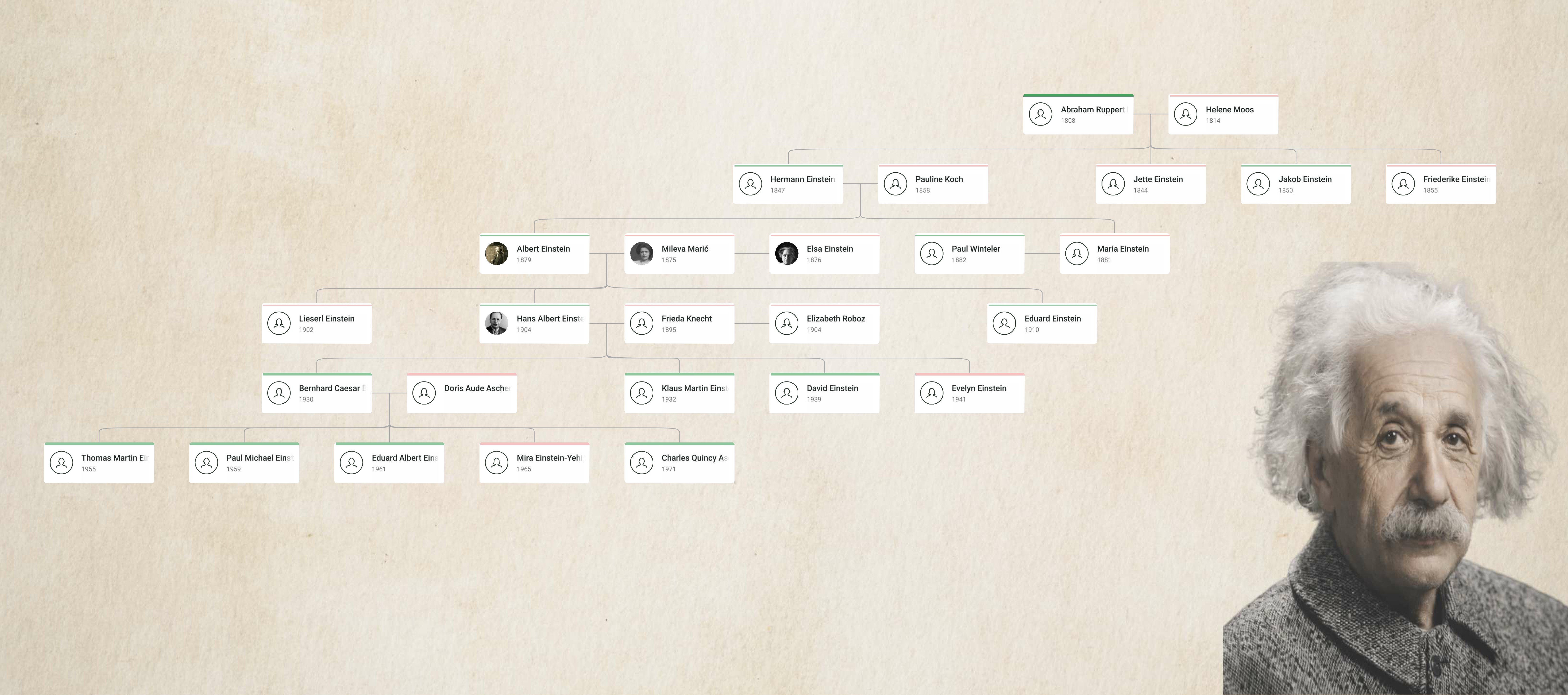 Albert Einstein Family Tree showing Albert Einstein, his parents Hermann Einstein and Pauline Koch, spouses Mileva Marić and Elsa Einstein, children, and extended Einstein family lineage.